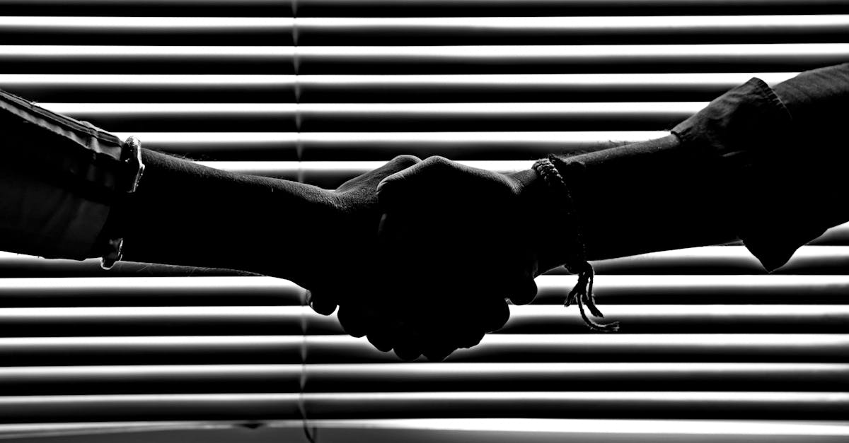 dc3714c9-e9e0-4501-b19f-767b2bef18e8.jpeg